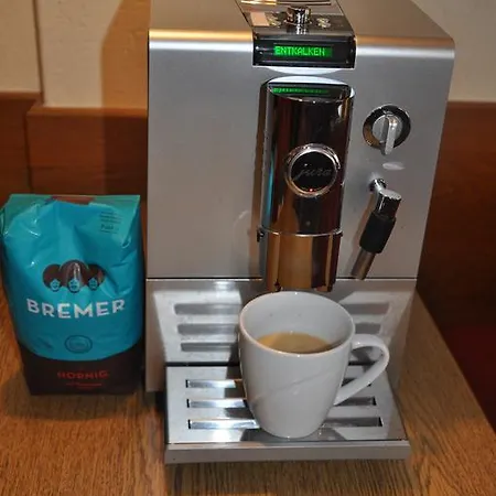 Gastehaus Holaus Mayrhofen